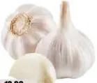 ثوم سائب أبيض نقي