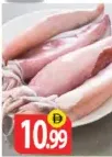 حبار