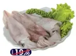 حبار