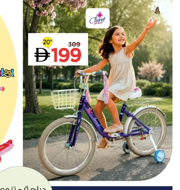 Claret Bicycle Assorted 20"