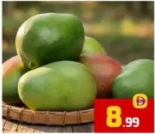 Mango Egypt Keett