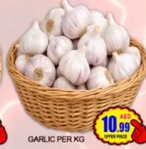 garlic