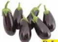 باذنجان كبير