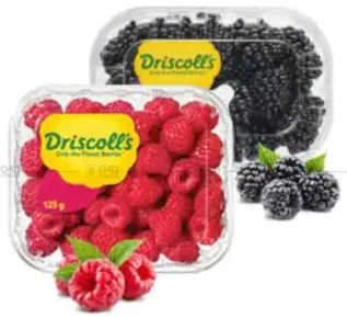 Driscoll's Raspberry/Blackberry (Portugal)