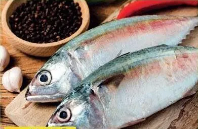 ماكريل طازج