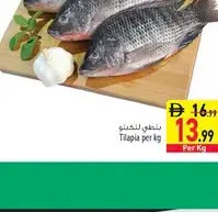 بلطي طازج مصري
