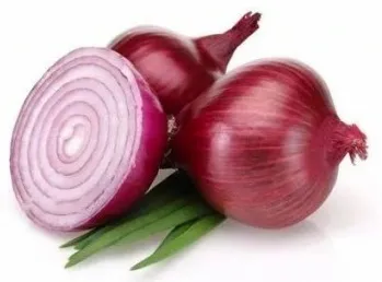 Onion India