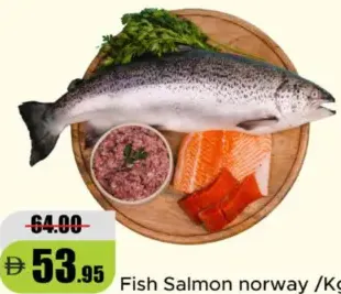 Fish Salmon norway