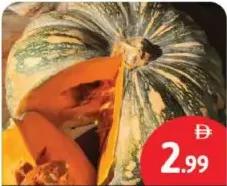 Red Pumpkin