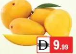 Mango Egyptian