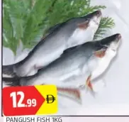 Pangush Fish