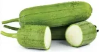 Sponge Gourd