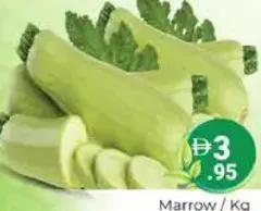 نخاع