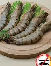 Prawns Med