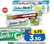 Dabur Toothpaste Mint & Lemon/Neem/White Salt & Lemon