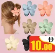 Hair Clip F.C072F-3