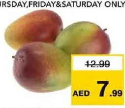 مانجو كيت
