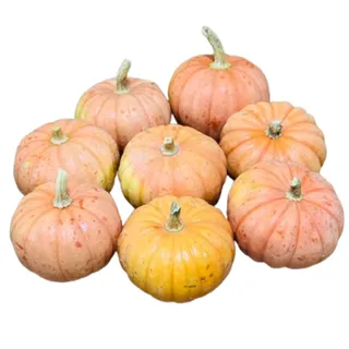 Carrefour يقطين وردي Sofia