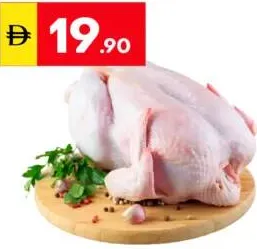 Fresh Chicken