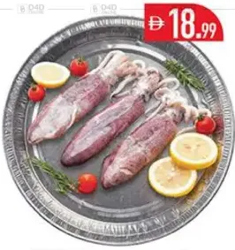 Fresh Squid