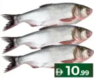 سمك فضي طازج