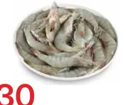 Shrimp 20/30