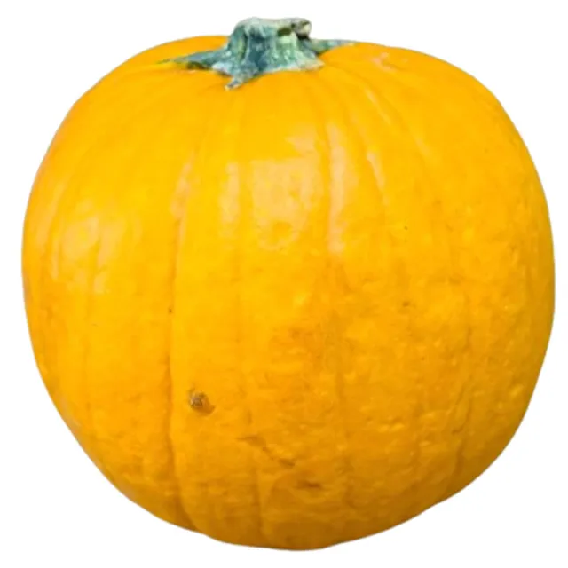Carrefour Halloween Pumpkin