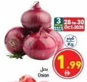 بصل