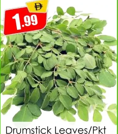 Drumstick Leaves