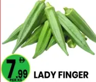 Lady Finger