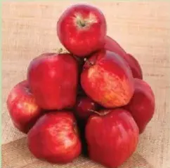 تفاح أحمر