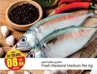ماكريل طازج