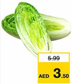 Lettuce Romaine