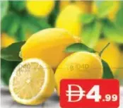 Lemon Big South Africa