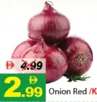 Onion Red