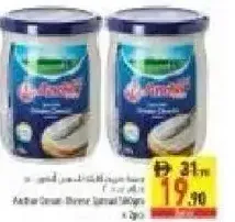 Greek Dessert Natural