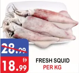 Fresh Squid
