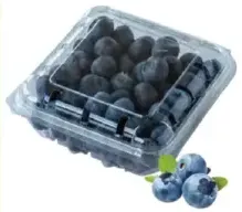 Blue Berry