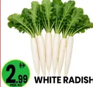 Radish White