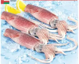 Fresh Squid