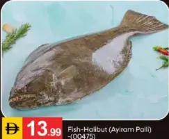 Fish-Halibut (Ayiram Palli) 00475