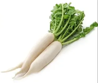 Radish