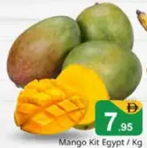 Mango Kt Egypt