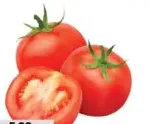 Tomato Green House
