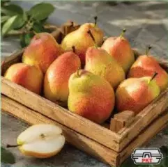 Pears Rsa
