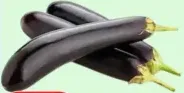 Eggplant Long