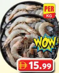 Shrimps