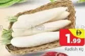 فجل