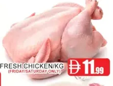 Fresh Chicken