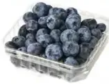 Blueberry
